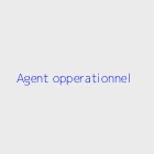 Bureau d'affaires immobiliere Agent opperationnel